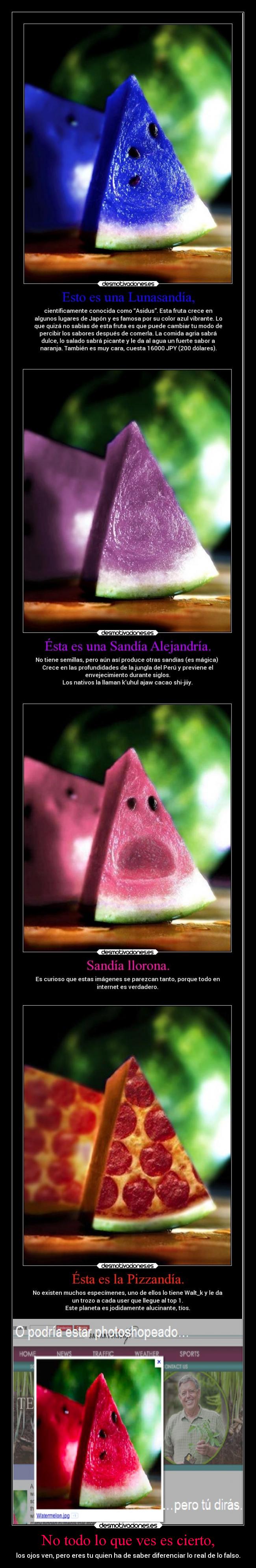 carteles verdad mentira real falso elesteva mis hijas llamaran arya esteva lucina esteva desmotivaciones