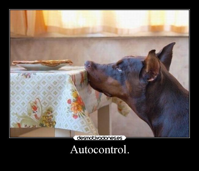 carteles hook autocontrol cuando abuela cocina algo delicioso desmotivaciones