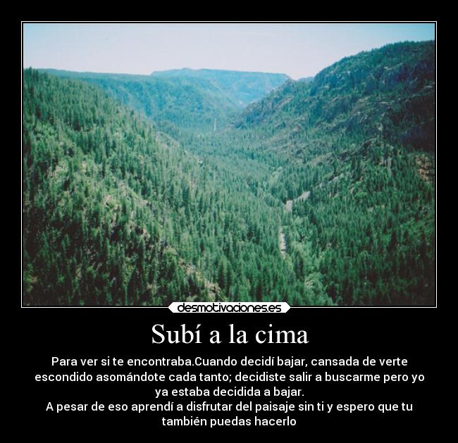 Subí a la cima - Para ver si te encontraba.Cuando decidí bajar, cansada de verte
escondido asomándote cada tanto; decidiste salir a buscarme pero yo
ya estaba decidida a bajar.
A pesar de eso aprendí a disfrutar del paisaje sin ti y espero que tu
también puedas hacerlo