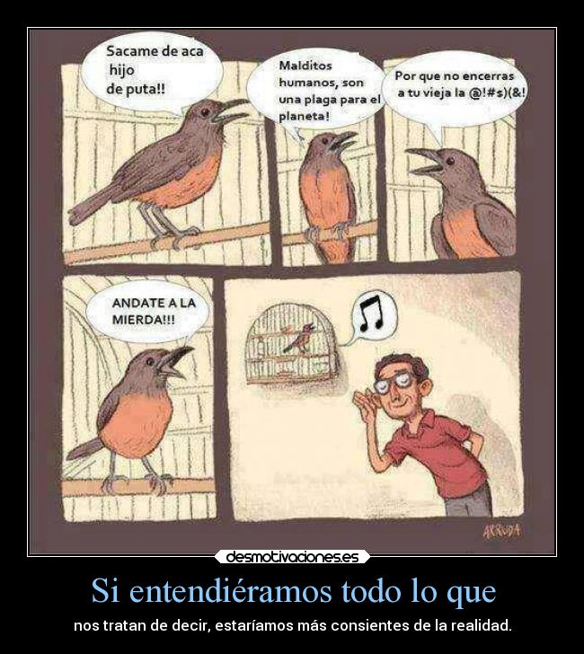 Si entendiéramos todo lo que -
