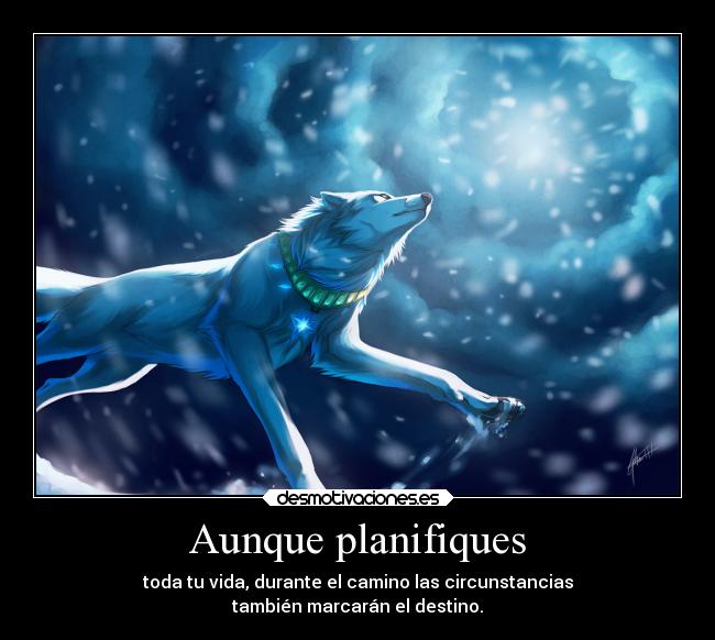 Aunque planifiques - toda tu vida, durante el camino las circunstancias
también marcarán el destino.