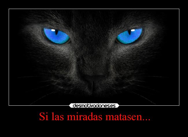 Si las miradas matasen... - 