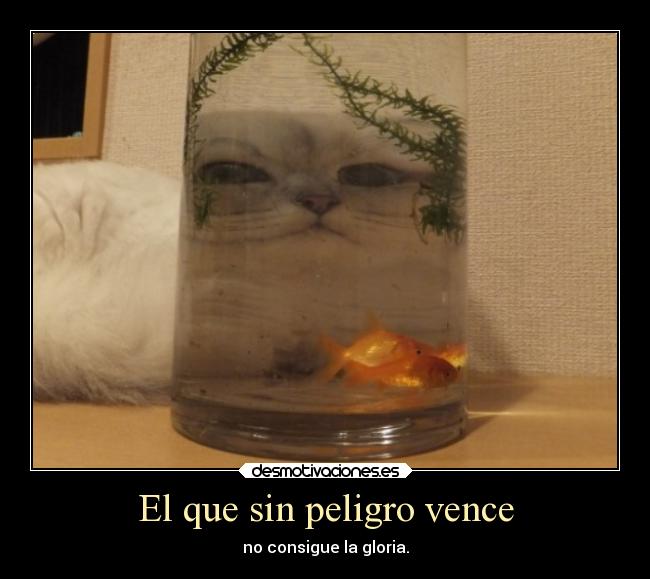 El que sin peligro vence - no consigue la gloria.