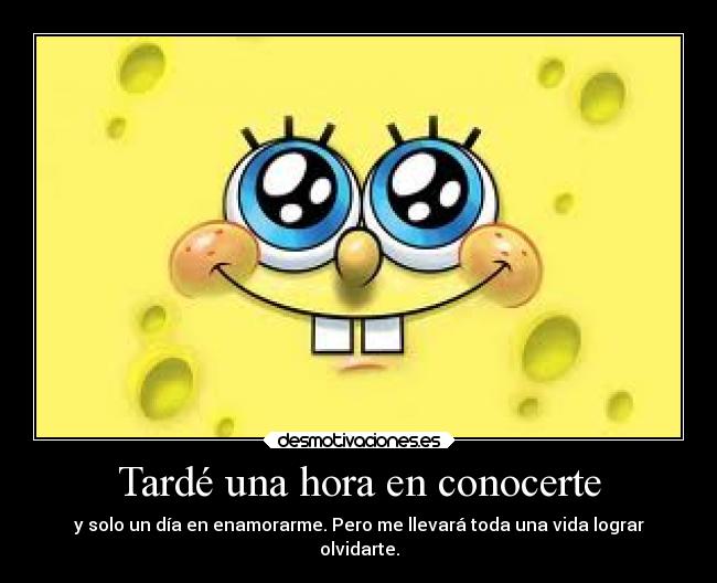 Tardé una hora en conocerte - y solo un día en enamorarme. Pero me llevará toda una vida lograr
olvidarte.