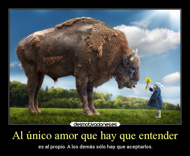 carteles amor mieldalaabeja andreavj desmotivaciones