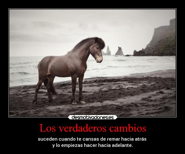 Los verdaderos cambios - 