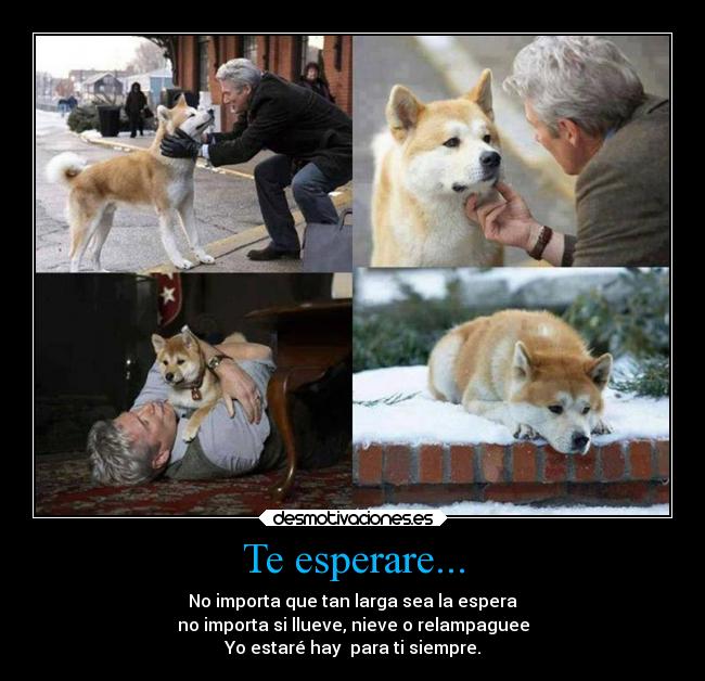 Te esperare... - 