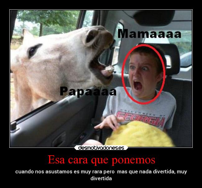 carteles animales desmotivaciones