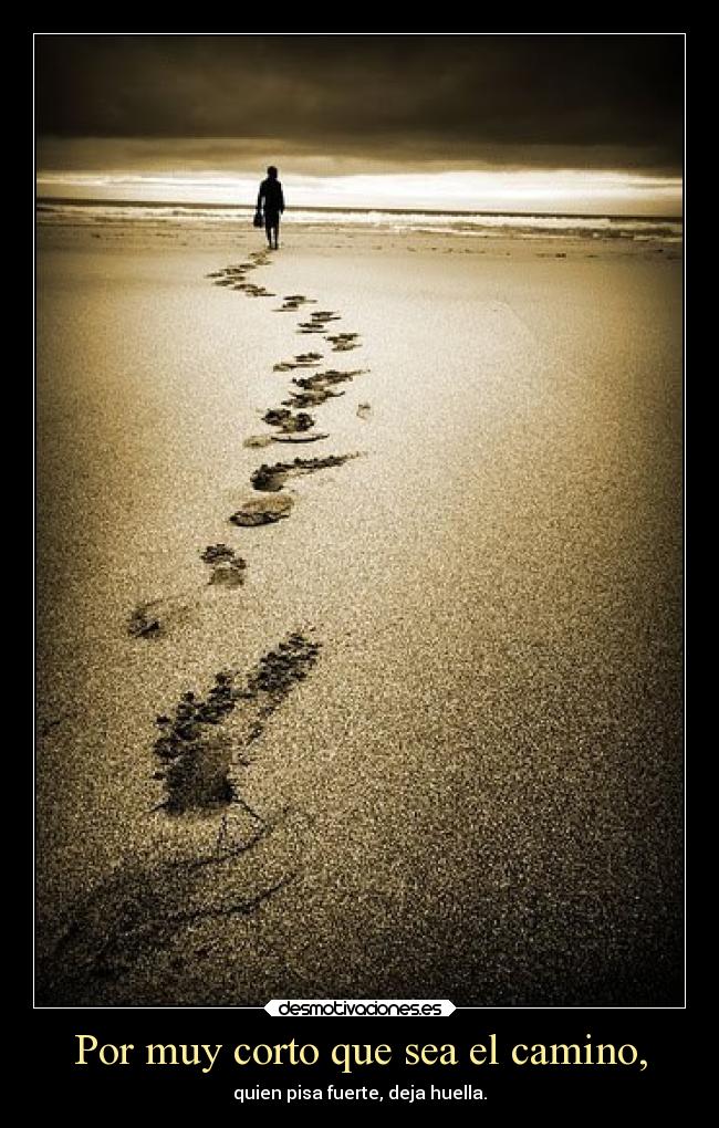 carteles vida solo camino eliges como recorrerlo desmotivaciones