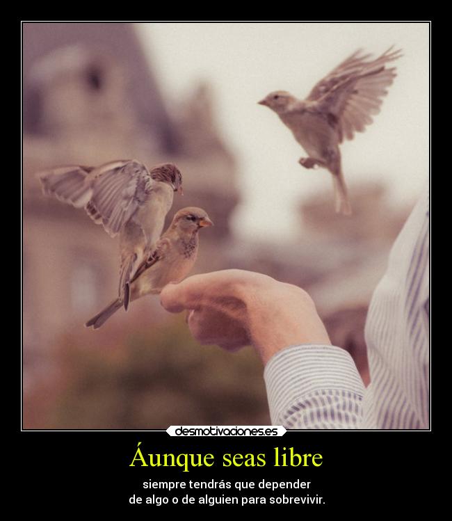 Áunque seas libre -