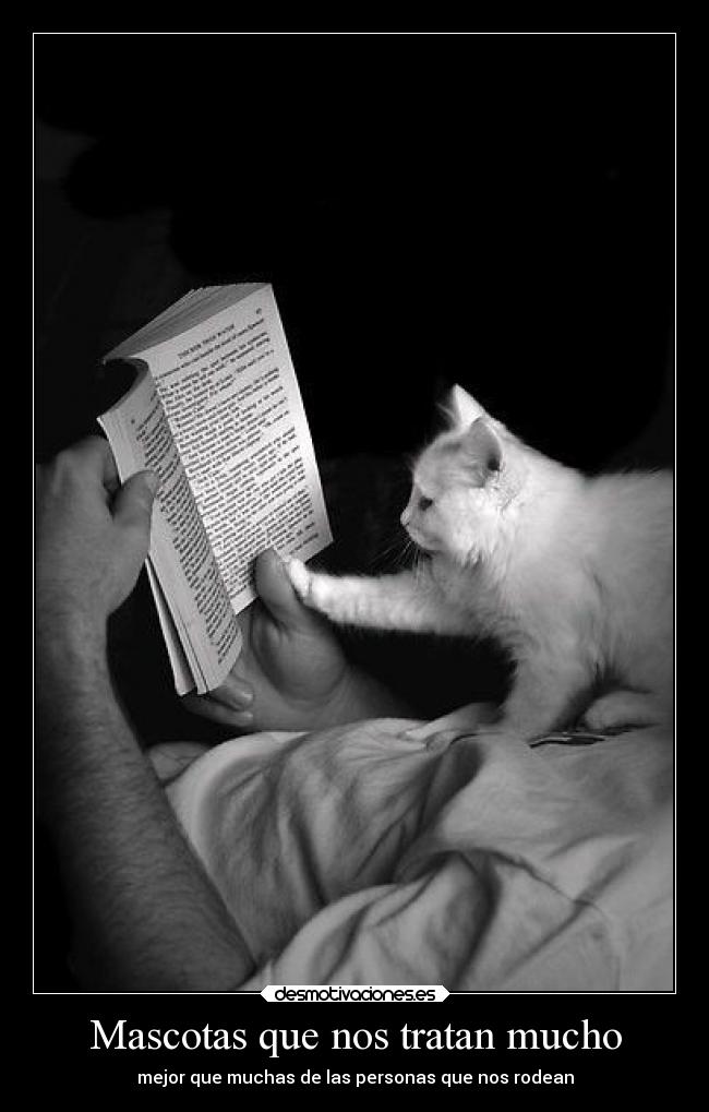 Mascotas que nos tratan mucho -