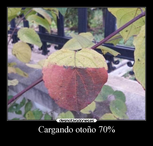 Cargando otoño 70% -