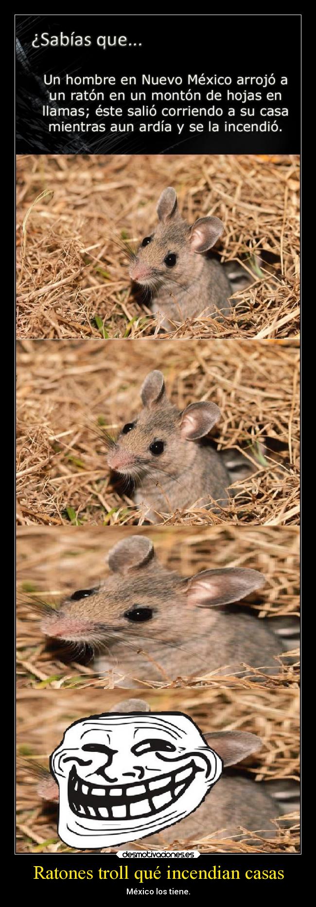 Ratones troll qué incendian casas - 