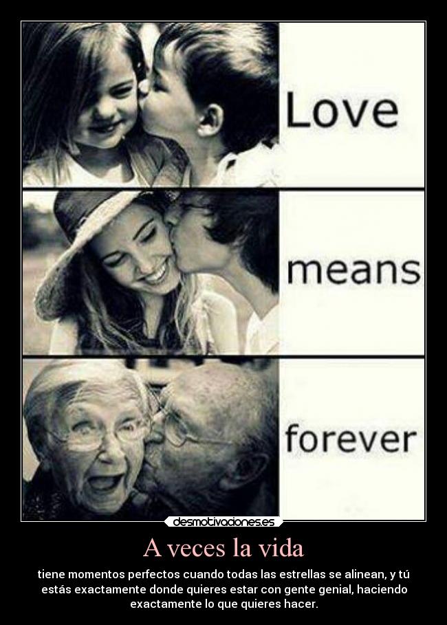 A veces la vida - tiene momentos perfectos cuando todas las estrellas se alinean, y tú
estás exactamente donde quieres estar con gente genial, haciendo
exactamente lo que quieres hacer.