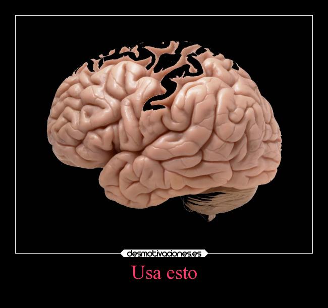 carteles cerebro desmotivaciones