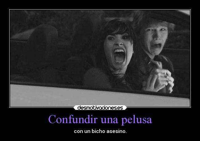 Confundir una pelusa -