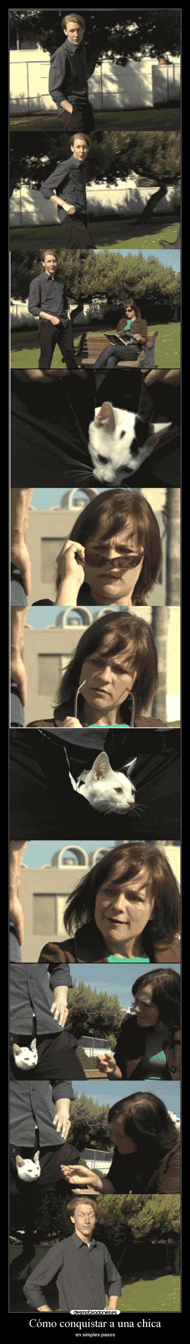 carteles benditos sean los gatos xddd arte desmotivaciones humor desmotivaciones