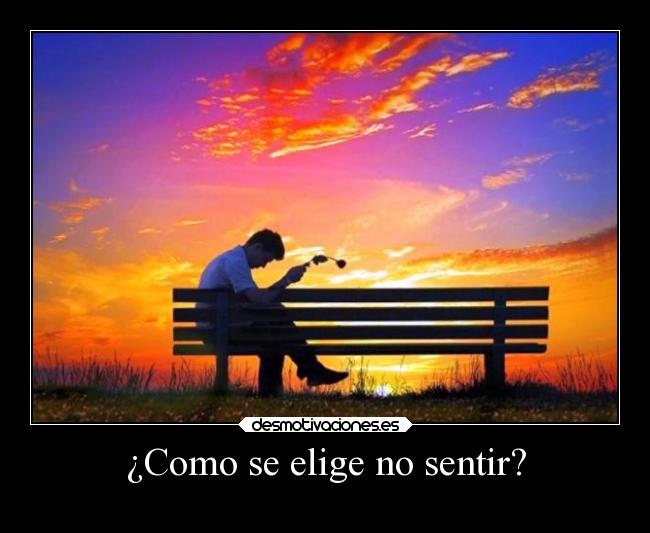 ¿Como se elige no sentir? -