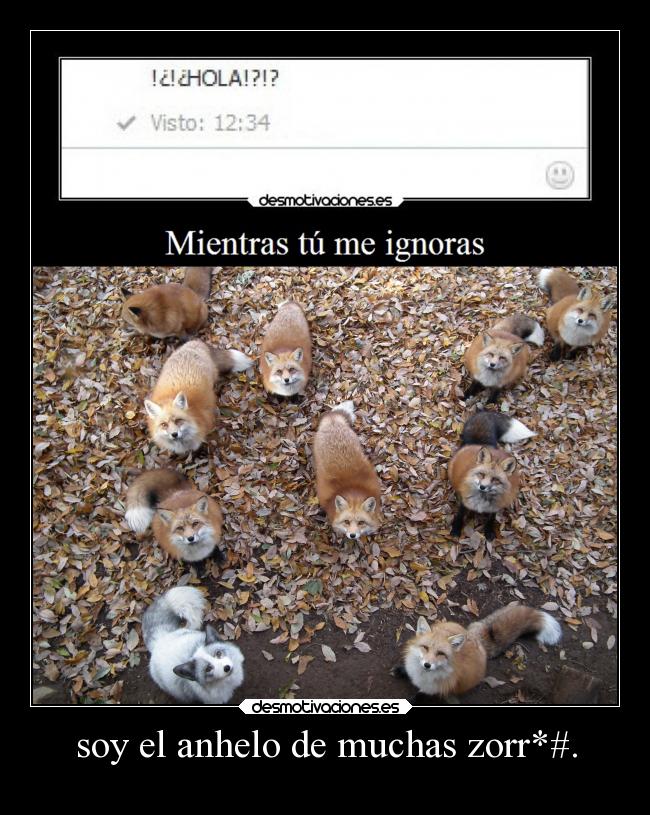 soy el anhelo de muchas zorr*#. - 