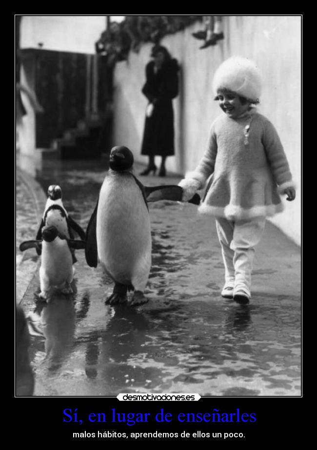 Sí, en lugar de enseñarles - malos hábitos, aprendemos de ellos un poco.