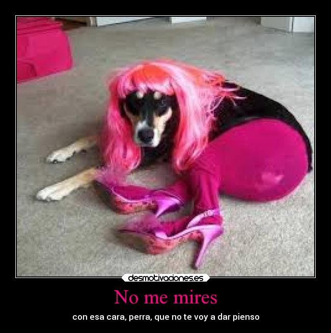 No me mires -