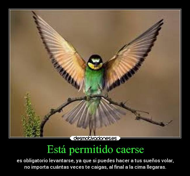 Está permitido caerse - es obligatorio levantarse, ya que si puedes hacer a tus sueños volar,
no importa cuántas veces te caigas, al final a la cima llegaras.