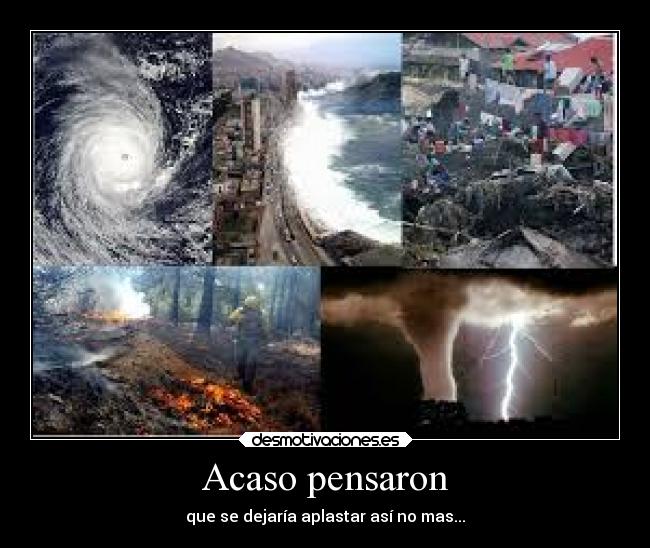 Acaso pensaron - que se dejaría aplastar así no mas...