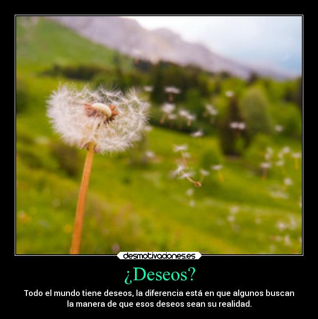 ¿Deseos? - Todo el mundo tiene deseos, la diferencia está en que algunos buscan
la manera de que esos deseos sean su realidad.