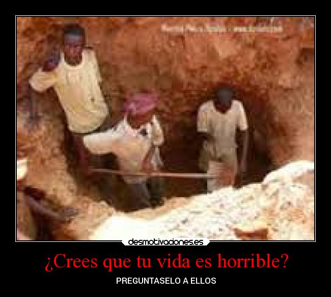 carteles vida ignorancia desmotivaciones