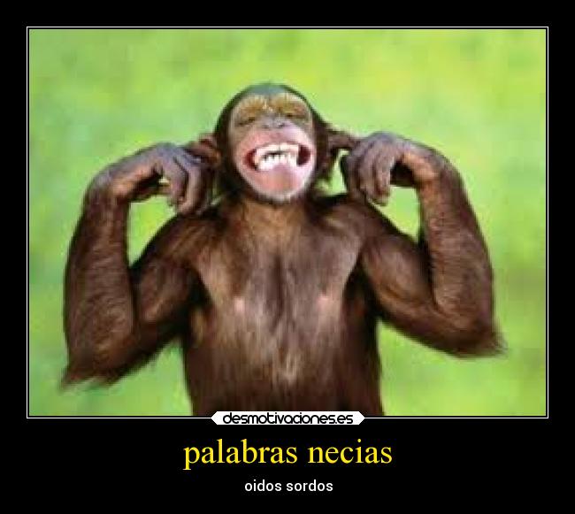 palabras necias -