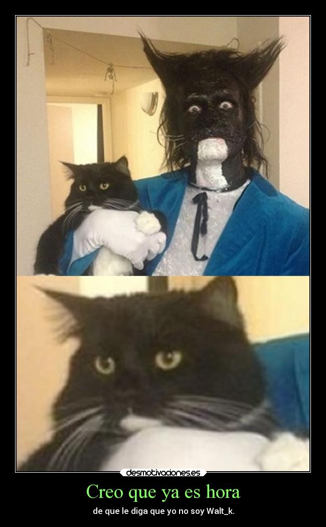 carteles gatos aprovechandose fama wallk locanata95 desmotivaciones