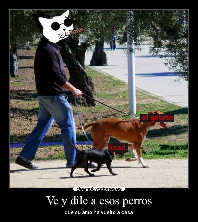 Ve y dile a esos perros -
