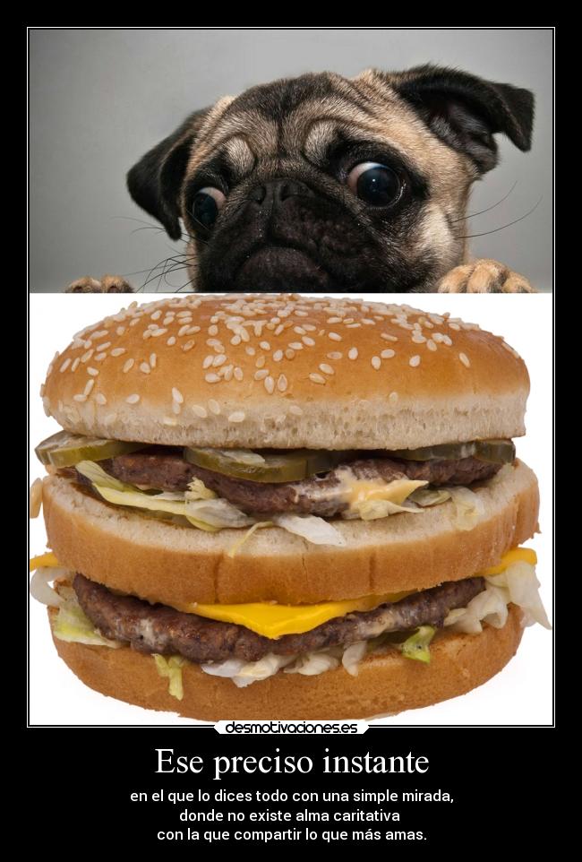 Ese preciso instante - 