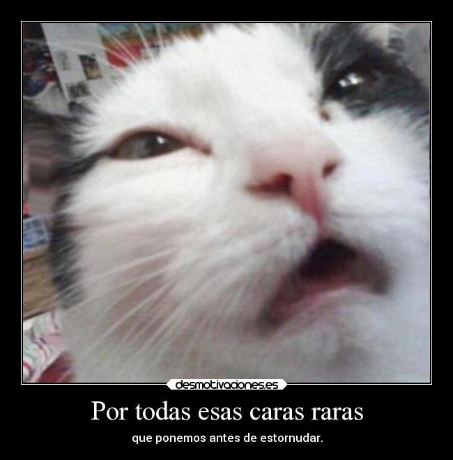Por todas esas caras raras - que ponemos antes de estornudar.