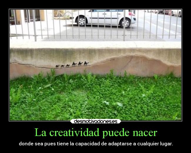 La creatividad puede nacer - donde sea pues tiene la capacidad de adaptarse a cualquier lugar.