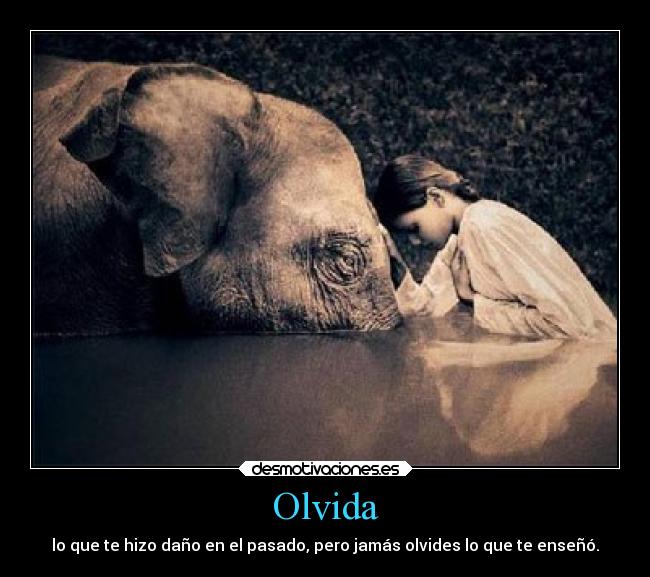 Olvida - lo que te hizo daño en el pasado, pero jamás olvides lo que te enseñó.