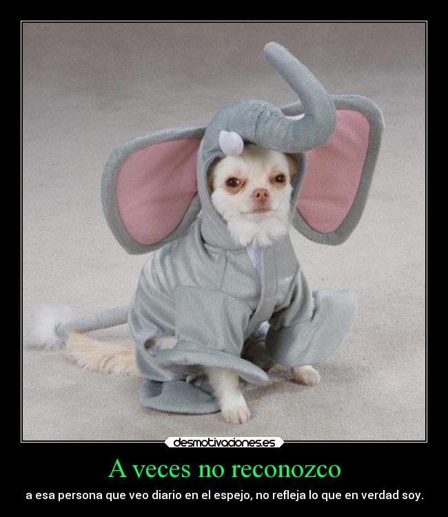 carteles nada sentirme mujer desmotivaciones