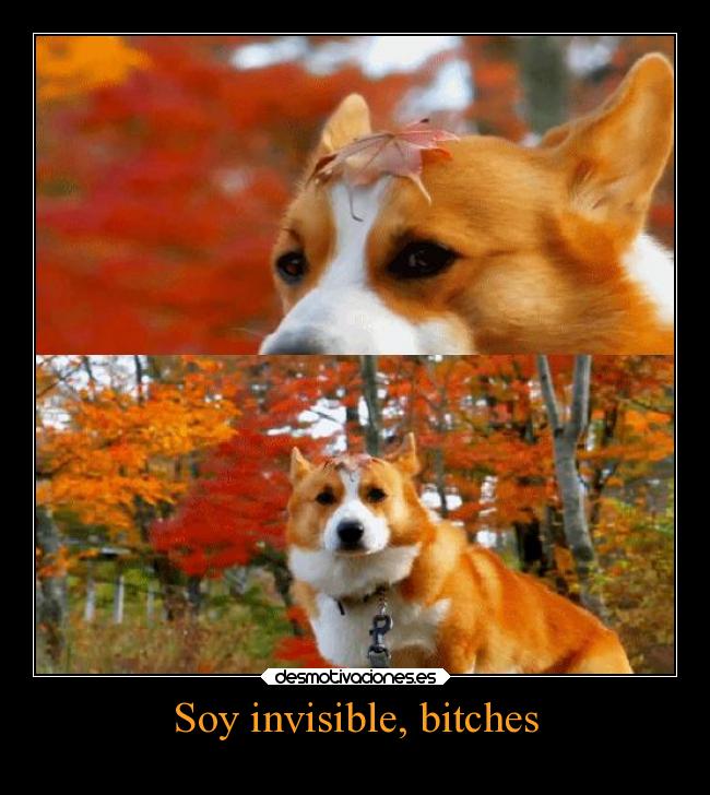 Soy invisible, bitches - 