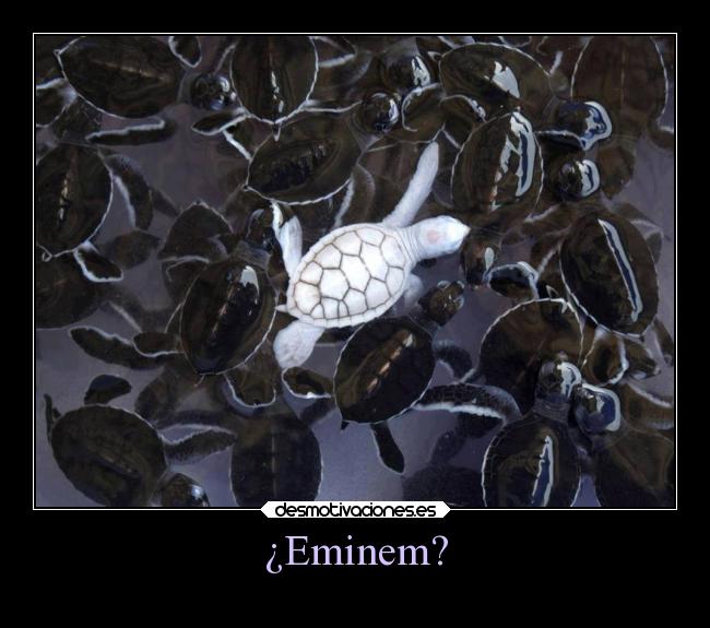 ¿Eminem? -