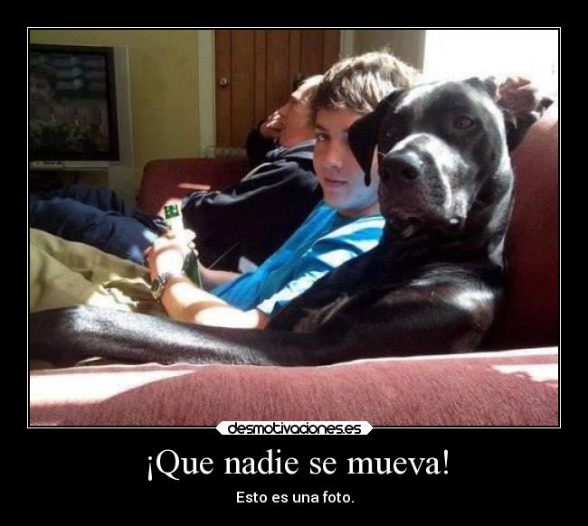 ¡Que nadie se mueva! - Esto es una foto.