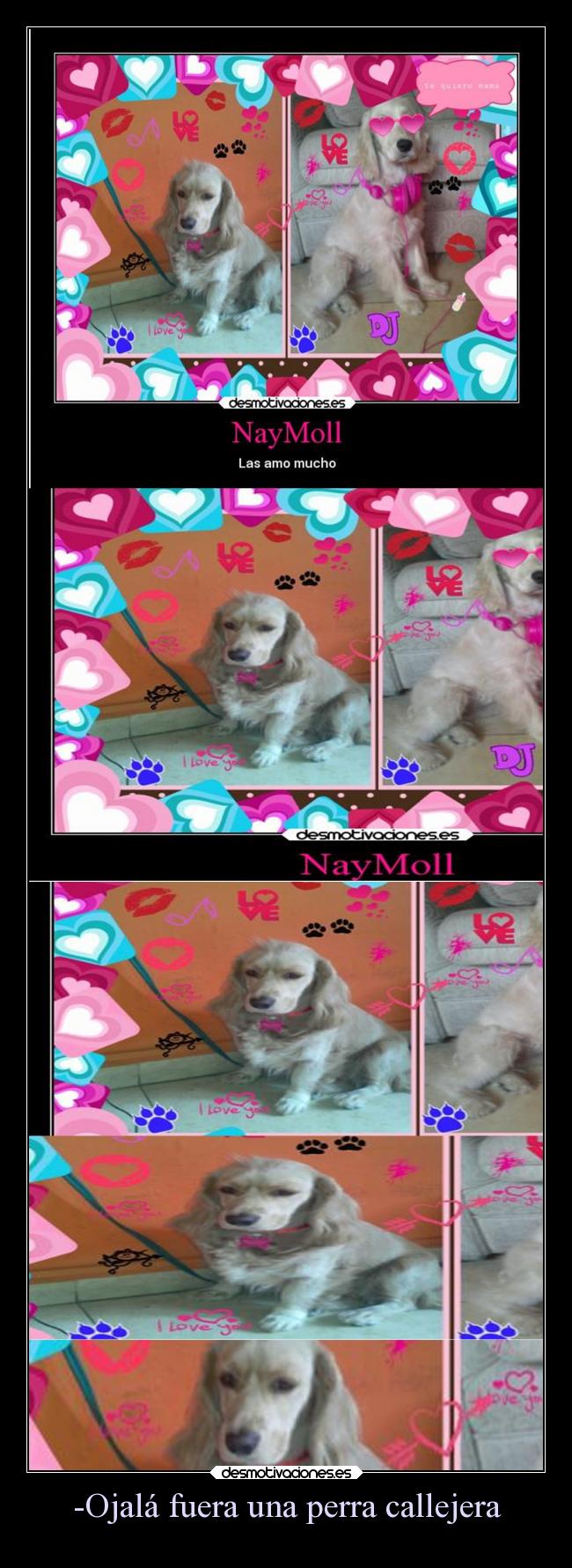 -Ojalá fuera una perra callejera -