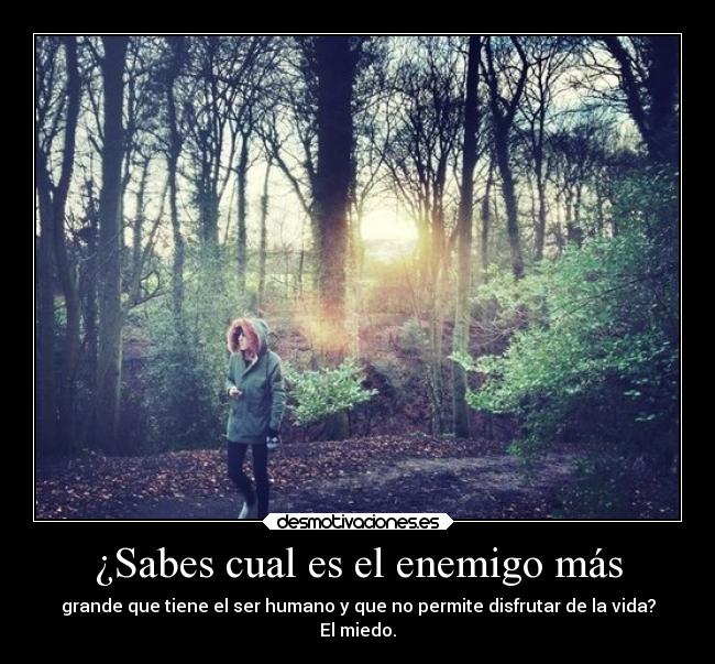 ¿Sabes cual es el enemigo más -