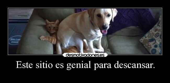 Este sitio es genial para descansar. -