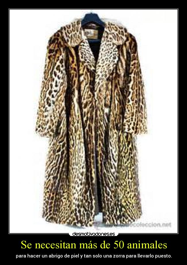 Se necesitan más de 50 animales - para hacer un abrigo de piel y tan solo una zorra para llevarlo puesto.