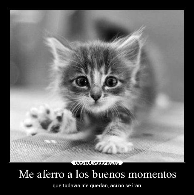Me aferro a los buenos momentos - que todavía me quedan, así no se irán.