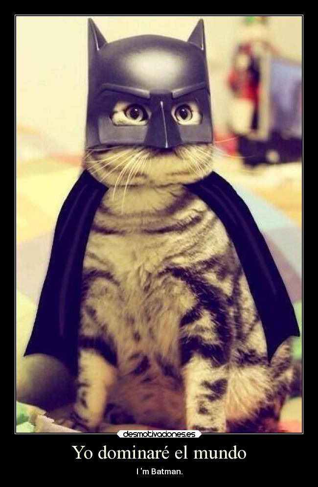 Yo dominaré el mundo - I m Batman.
