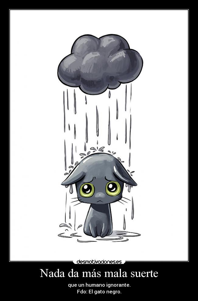 Nada da más mala suerte - que un humano ignorante.
Fdo: El gato negro.