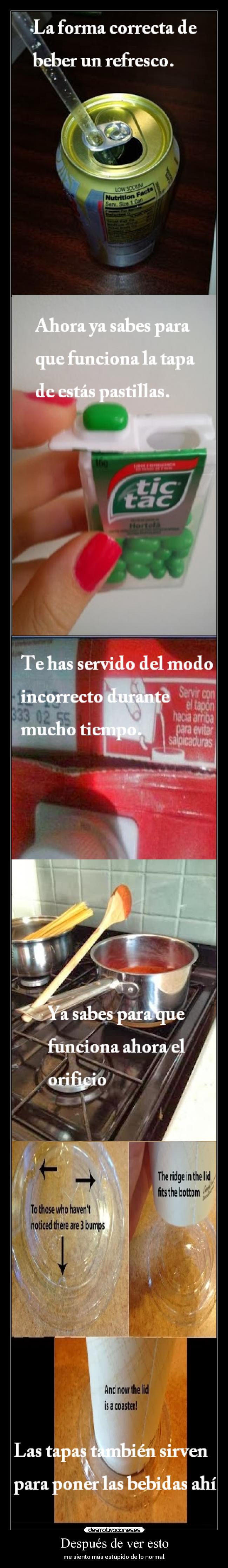 Después de ver esto - me siento más estúpido de lo normal.