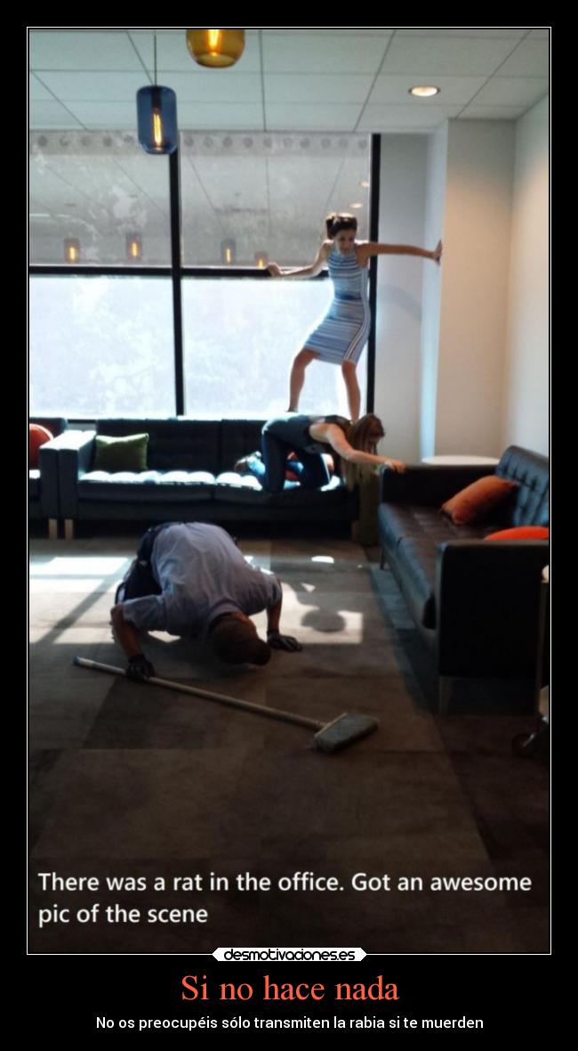 Si no hace nada - No os preocupéis sólo transmiten la rabia si te muerden