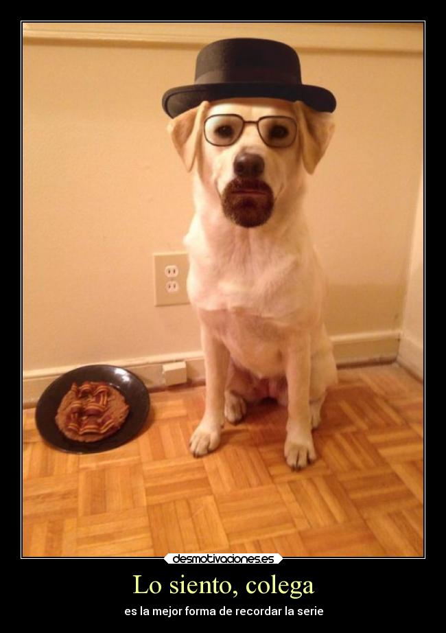 Lo siento, colega - es la mejor forma de recordar la serie
